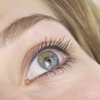 Auge